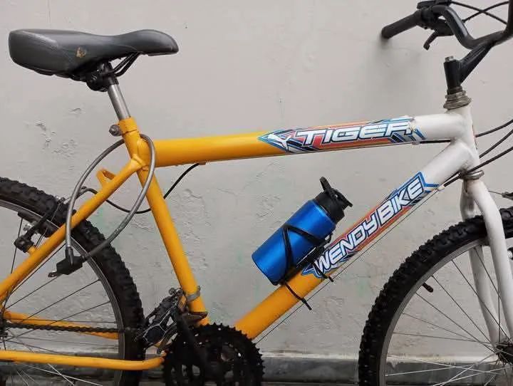 Bicicleta de Mountain Bike WendyBike X-tiger Original Completa  - Foto 2