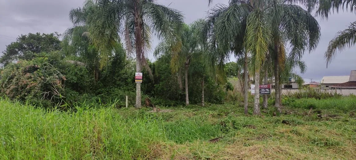 Vendo chácara localizado em Mandirituba 1200 metros quadrados