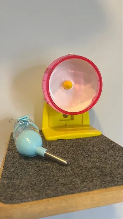 roda/ rodinha hamster e bebedouro - Foto 2