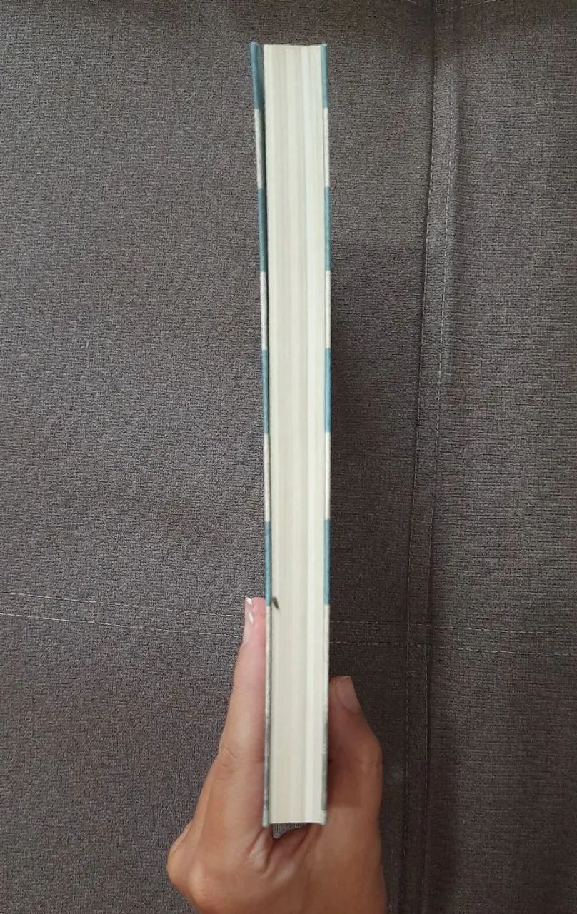 Livro O Tatuador de Auschwitz - Heather Morris - Foto 3