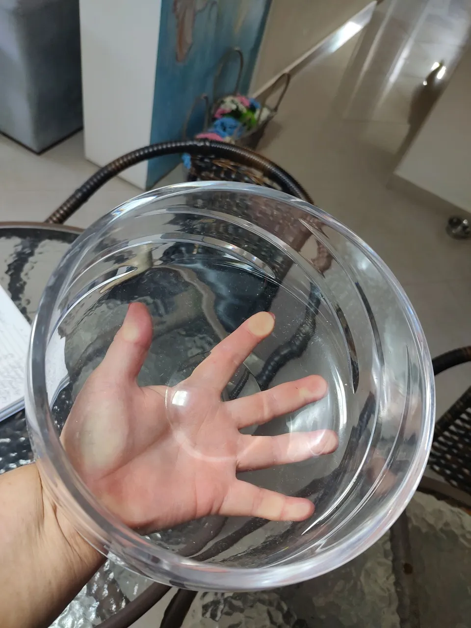 Bowl de vidro transparente decorativo em Cristal Boêmia