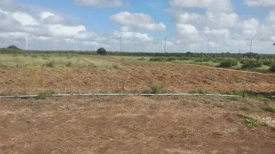 fazenda com 42 hectares em são Miguel do gostoso