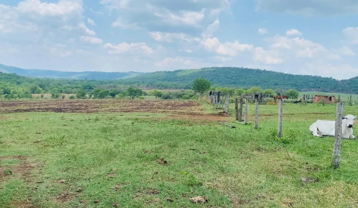 COD361- Fazenda no Município de Antônio João MS/ Bela Vista