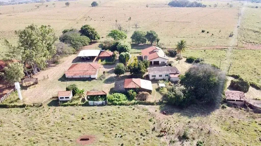 Fazenda à Venda 223 Alqueires de Potencial e Produtividade - Palmeira D'Oeste