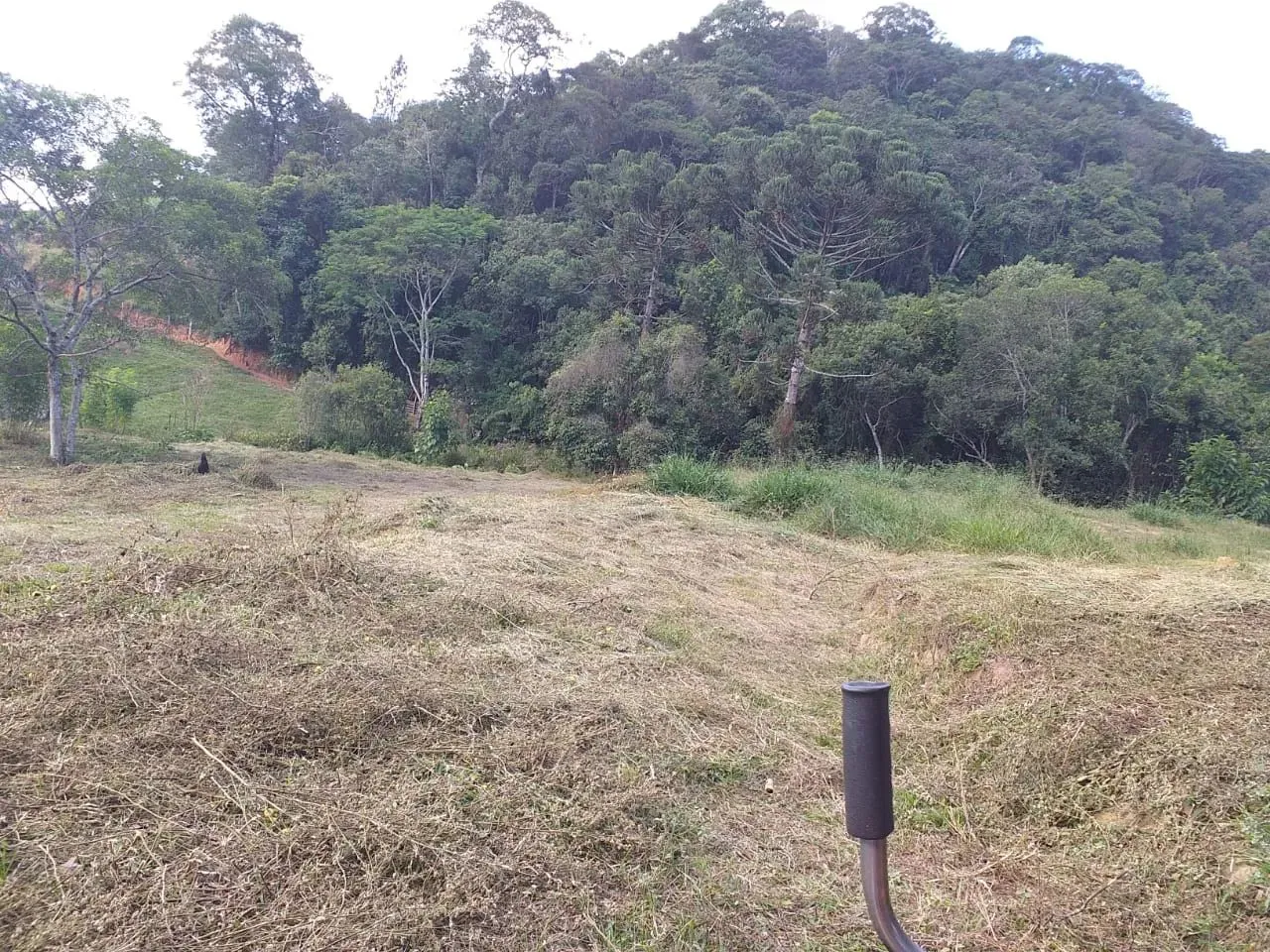 terreno 16 mil m2 com Ribeirão e pasto em Piracaia SP