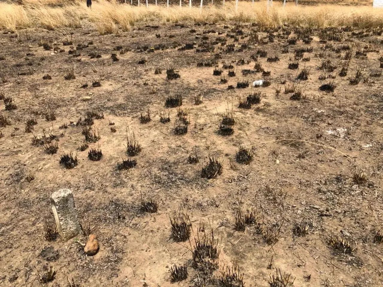 Terreno 12,00m x 25,00m em Timbaúba, Aceito Automóvel, Excelente Localização - Foto 5