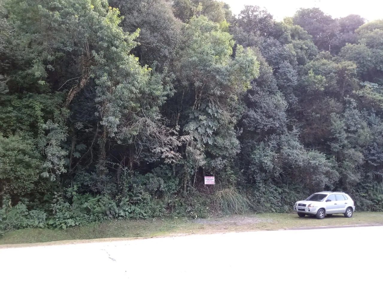 Chácara em Campo Largo - 20.000 m² - Foto 4