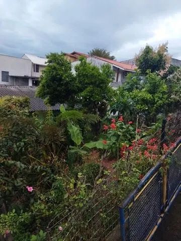 Excelente terreno em Biguaçu, possibilidade de comércio  - Foto 3
