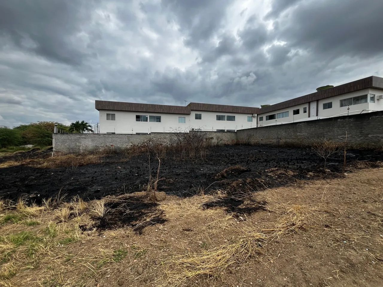 Terreno em ótima localização Maurício de Nassau  - Foto 5