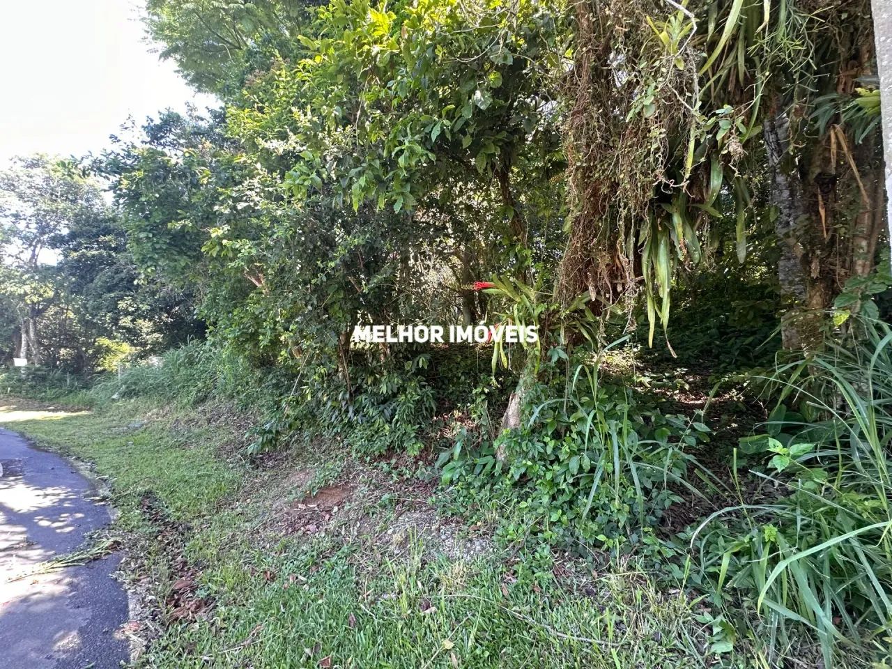 Terreno com rua asfaltada á venda na praia de Taquaras em Balneário Camboriú - Foto 4