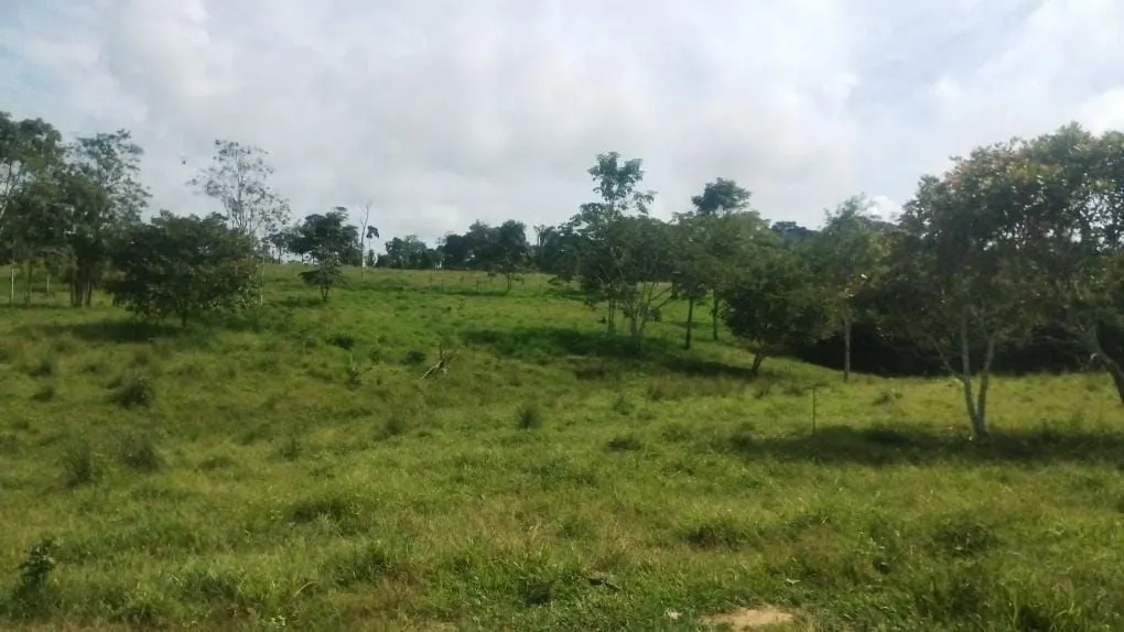 Vende se essa propriedade