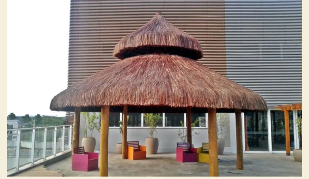Pentes de Piaçava. Cobertura Piaçava 
