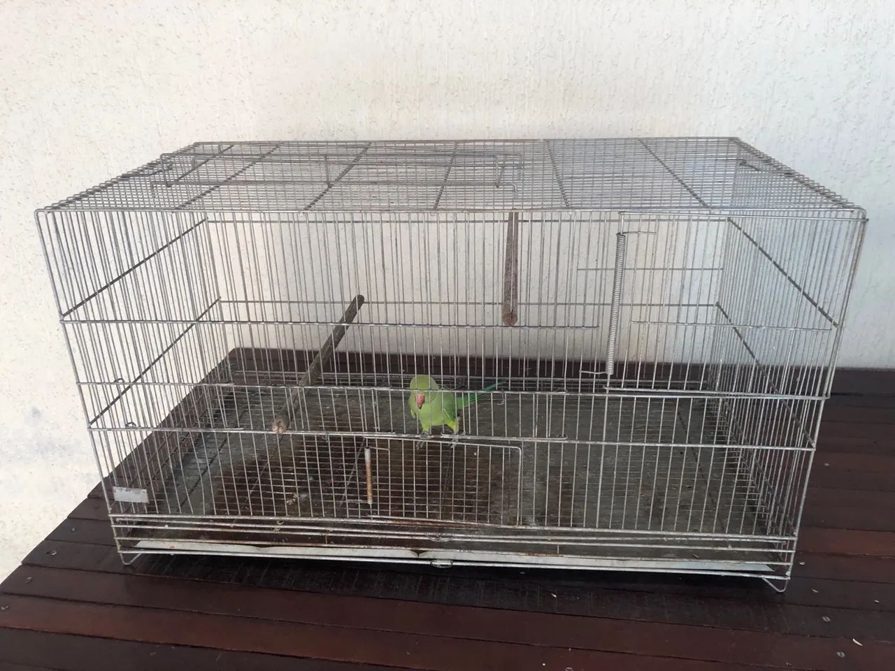 Gaiola 