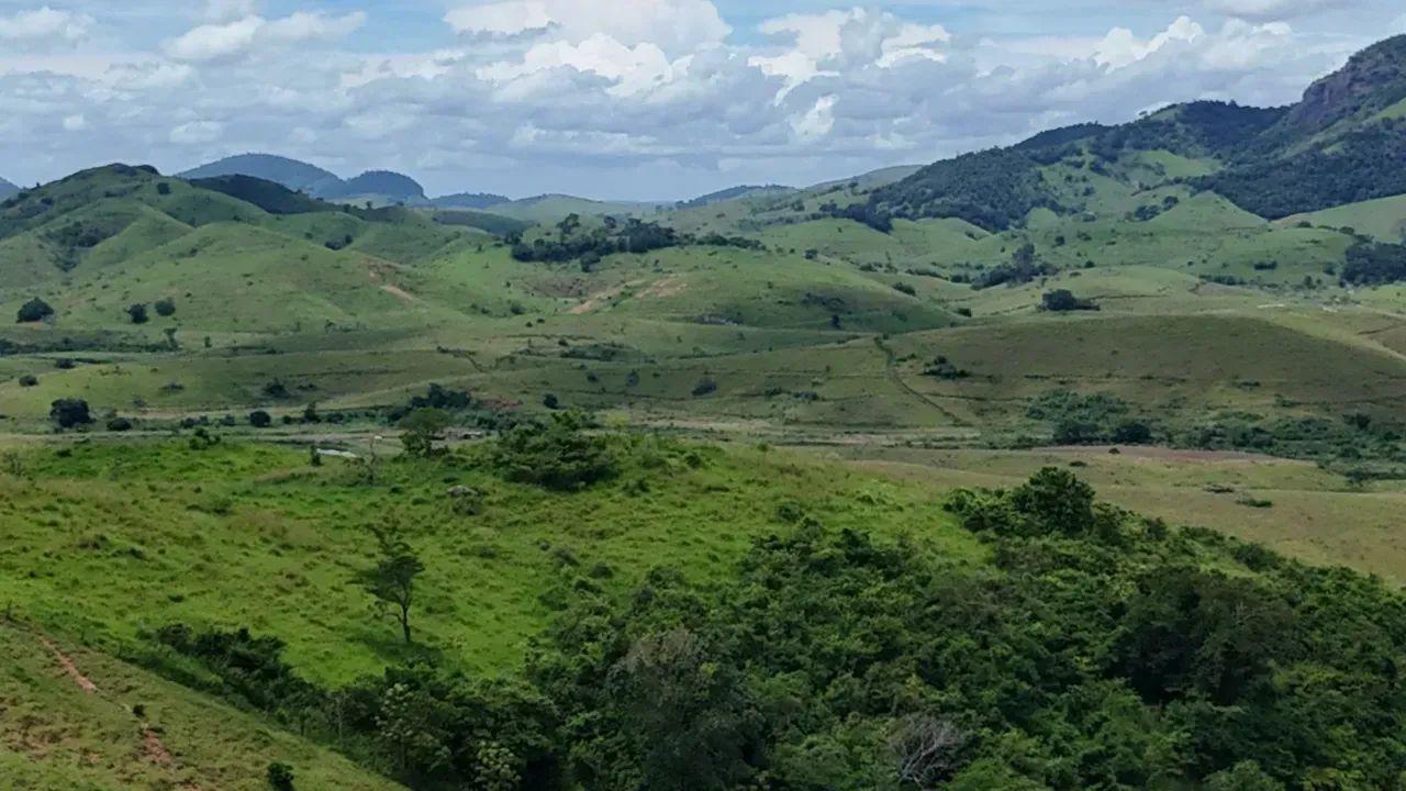 Oportunidade Única: Fazenda de Alta Produtividade agropecuária. - Foto 4
