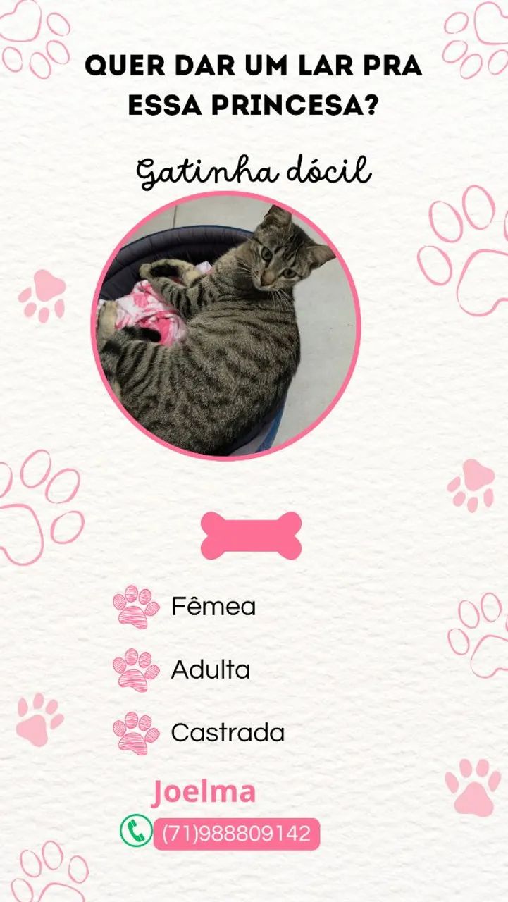 Adote essa princesa! 