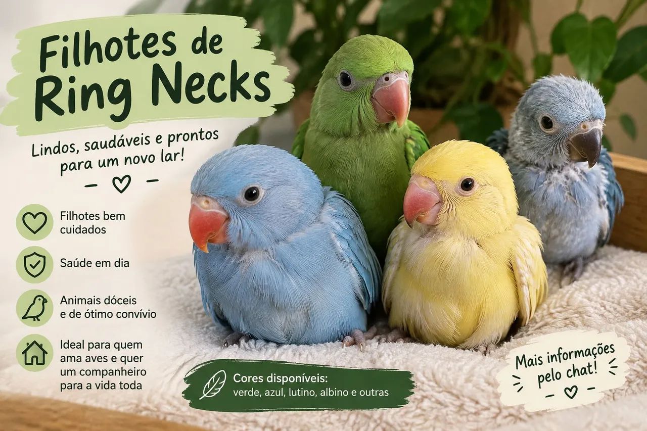 Ótimos pets
