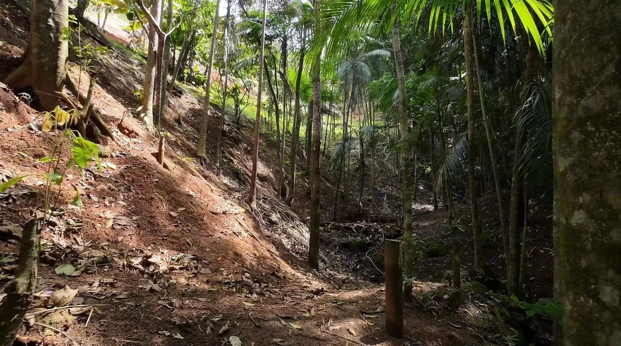 Terreno em condomínio Santa Teresa -ES - Foto 8