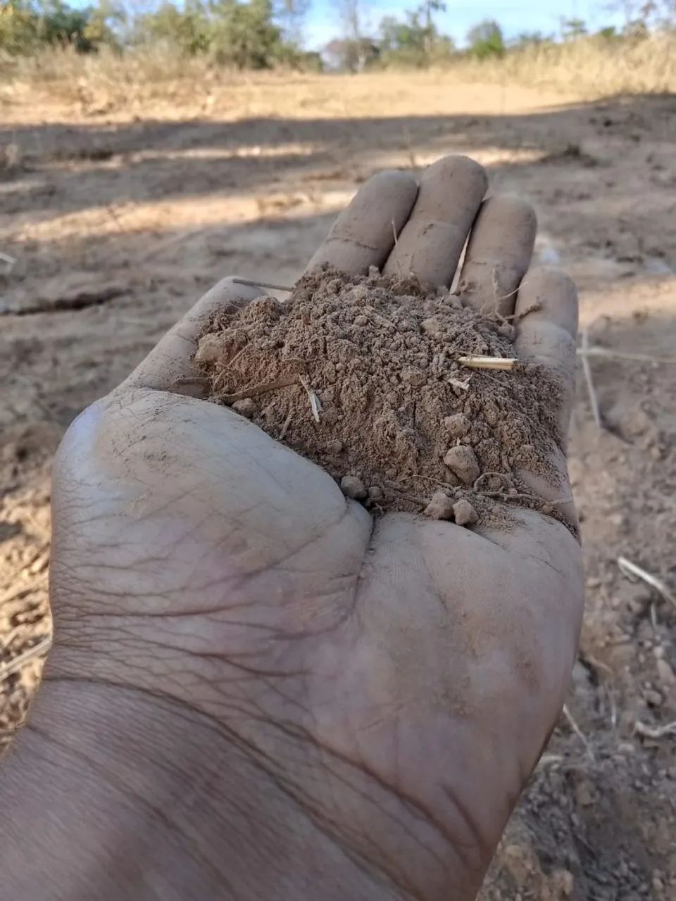 Chácaras  - Foto 5