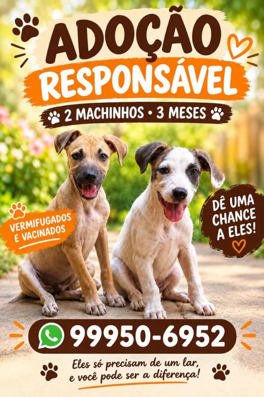 Adoção de cachorrinhos 