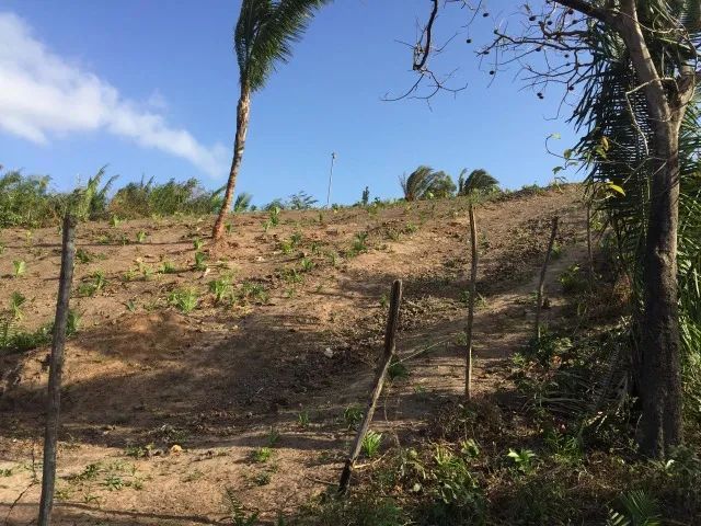 TERRENO NA CIDADE OLIMPICA - Foto 5