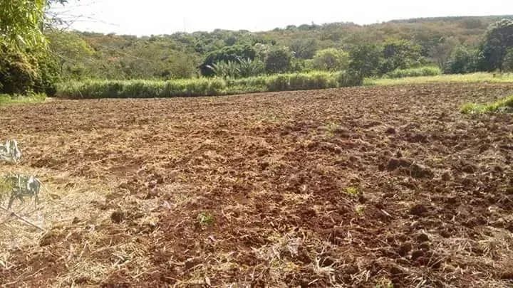 COD430.LOTE RURAL NA BR- Jaraguari/MS
