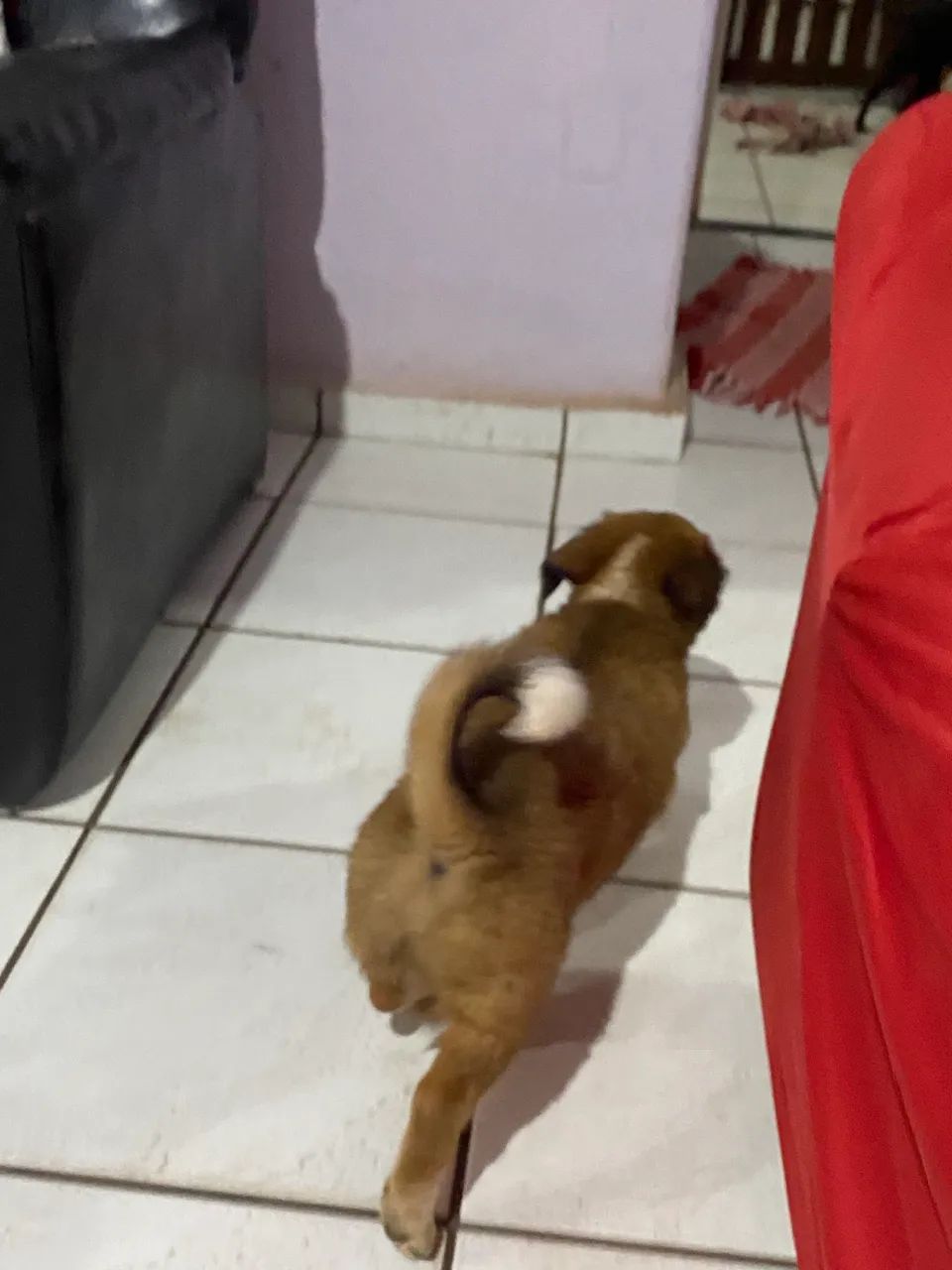 Doação  - Foto 4