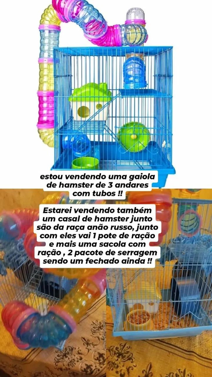 Hamster e gaiola 