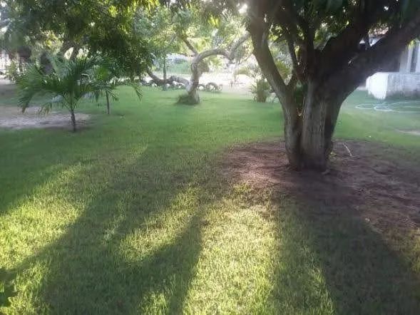 Sítio Aluguel com piscina e casa com 7 quartos  - Foto 3