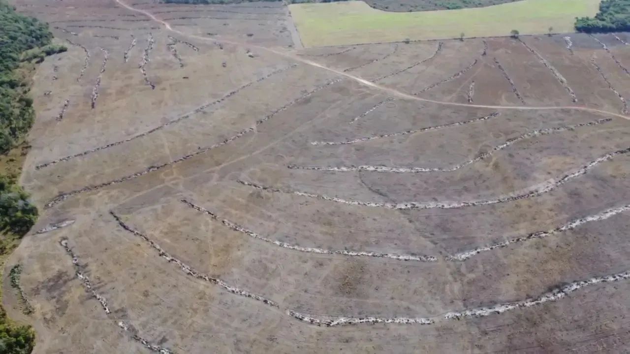 Fazenda 236,38 alqueires (1.144,12 hectares) Pium - To - Foto 5
