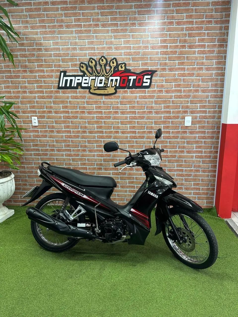 T115 CRYPTON ED
