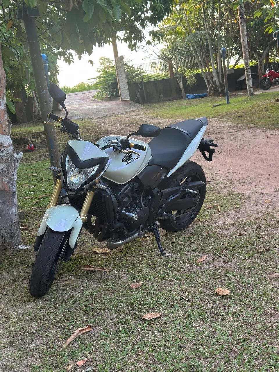 Hornet 600 2014