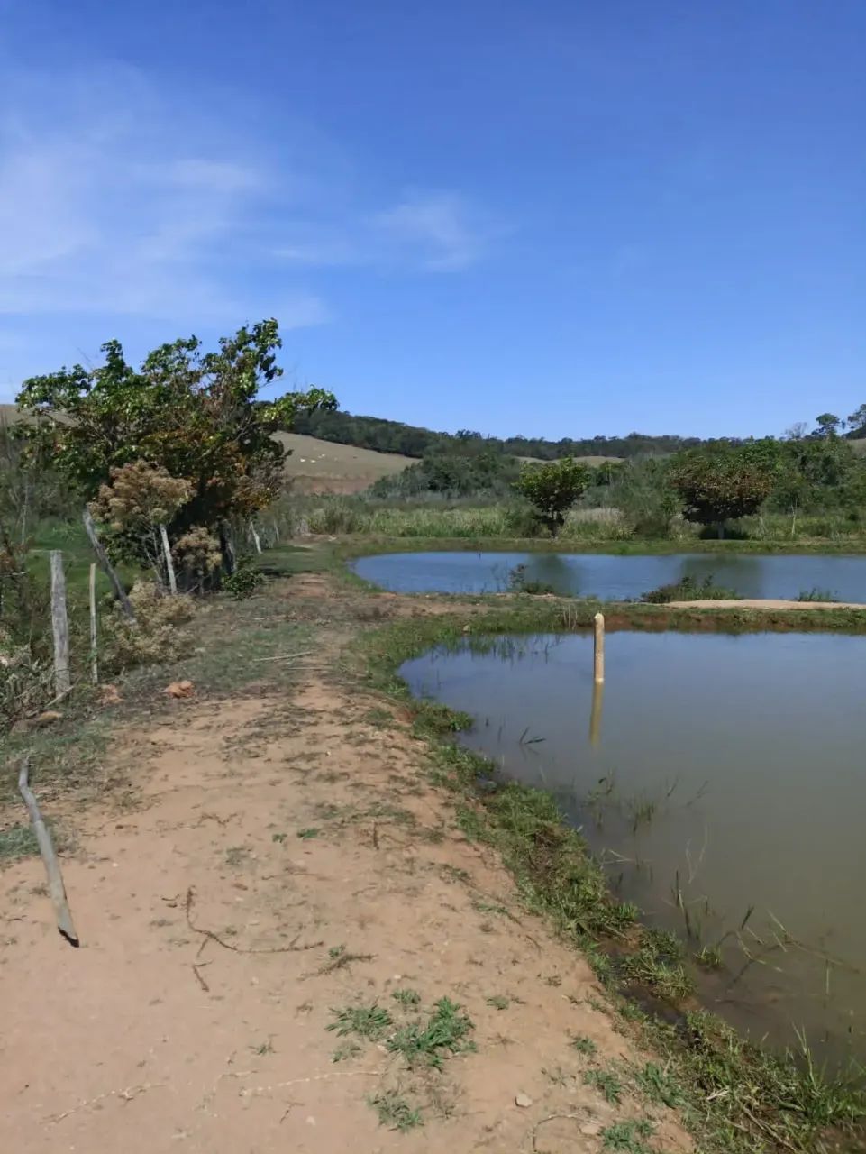 Sitio a venda  Botelhos MG - Foto 5