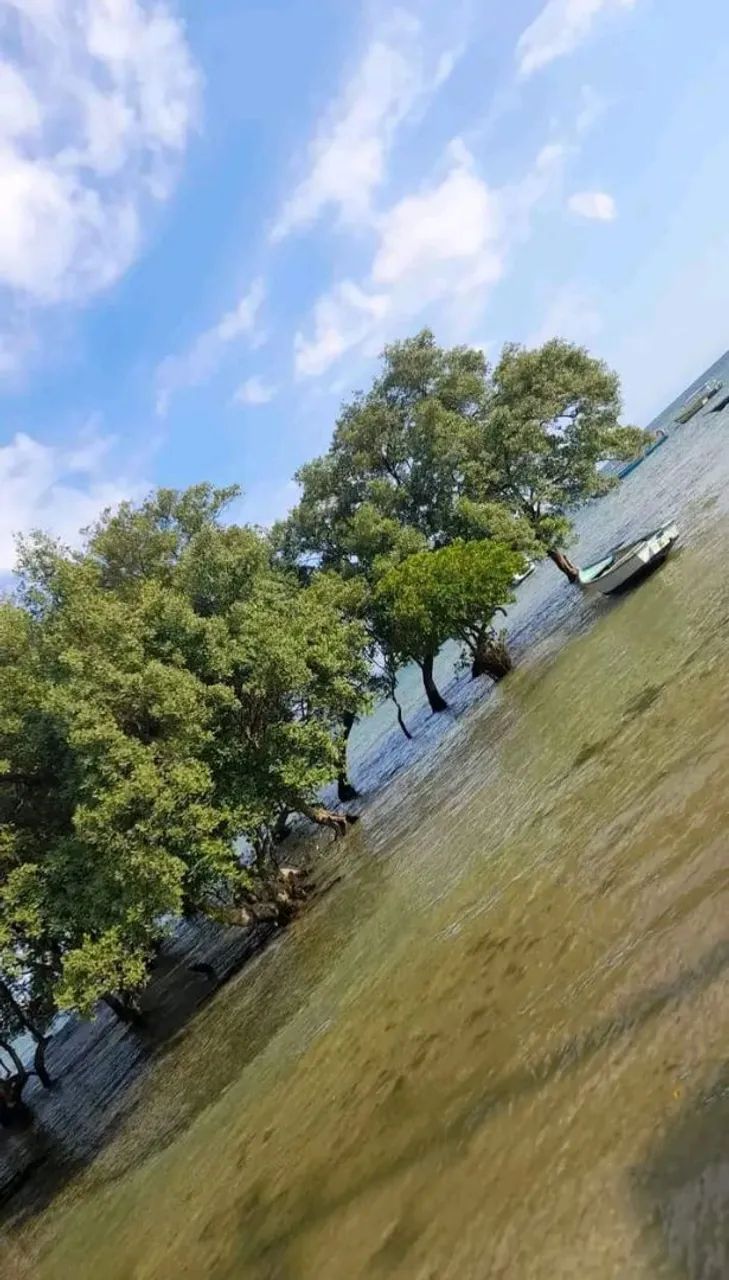 Excelente terreno em ilha de maré praia das neves  - Foto 5