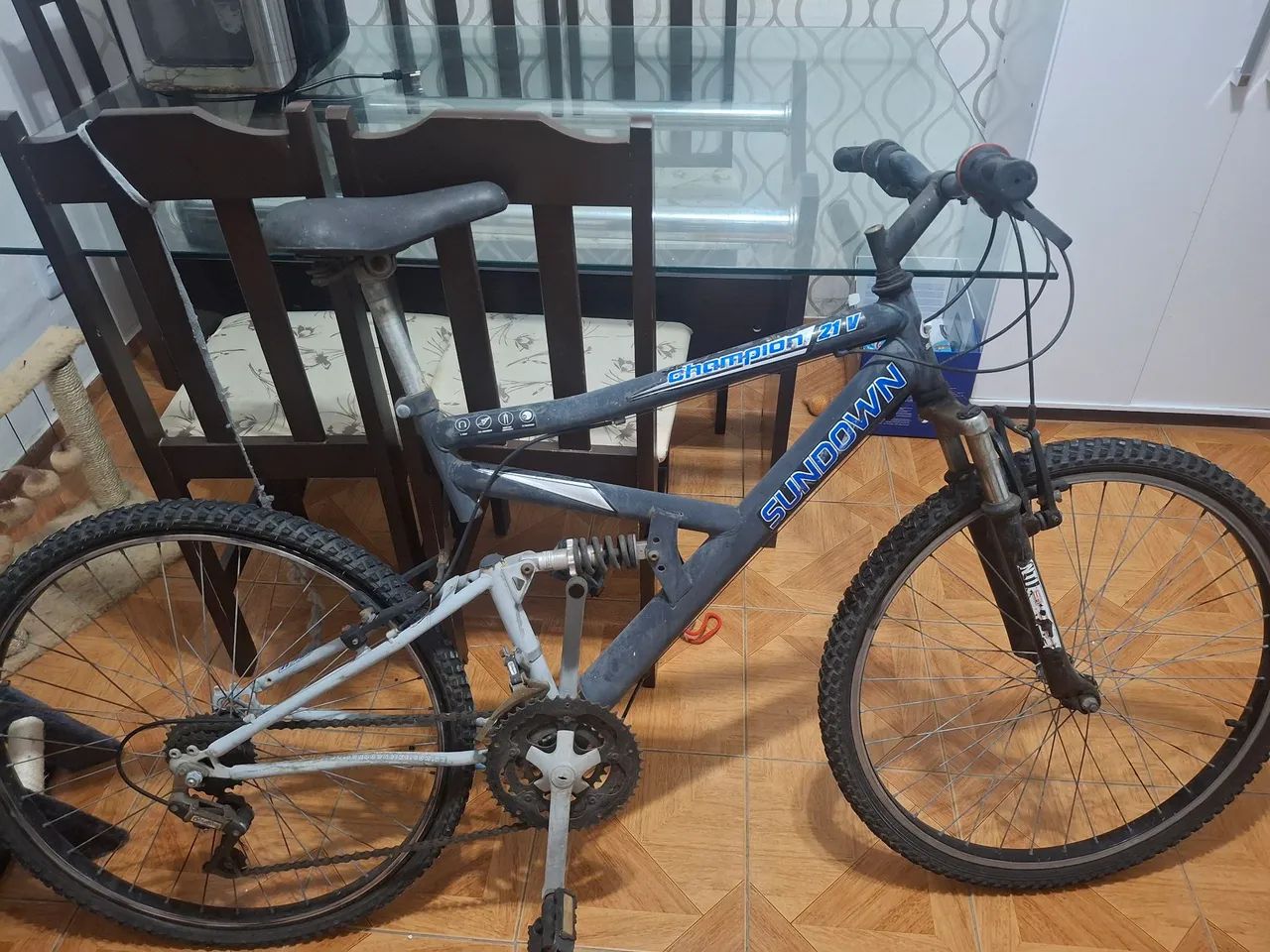 Bicicleta 