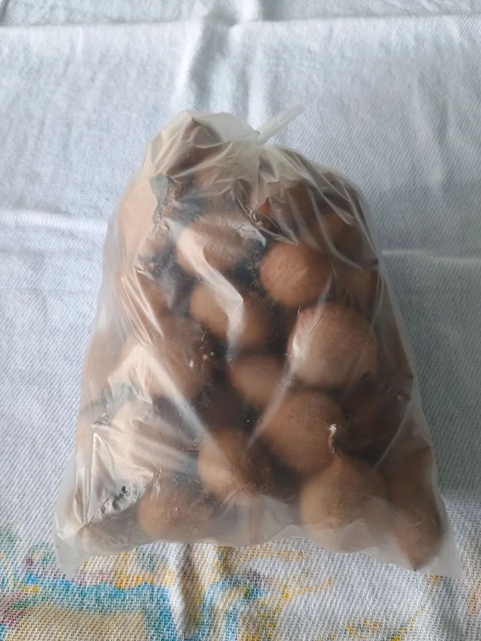 Tamarino  - Foto 3