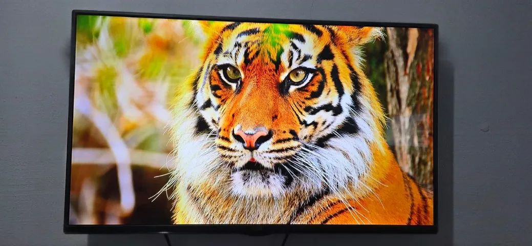 Tv 42 LED LG Completa (Parcelo)