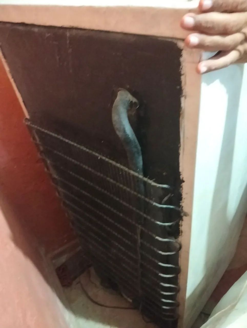 Freezer prosdocimo - Foto 2