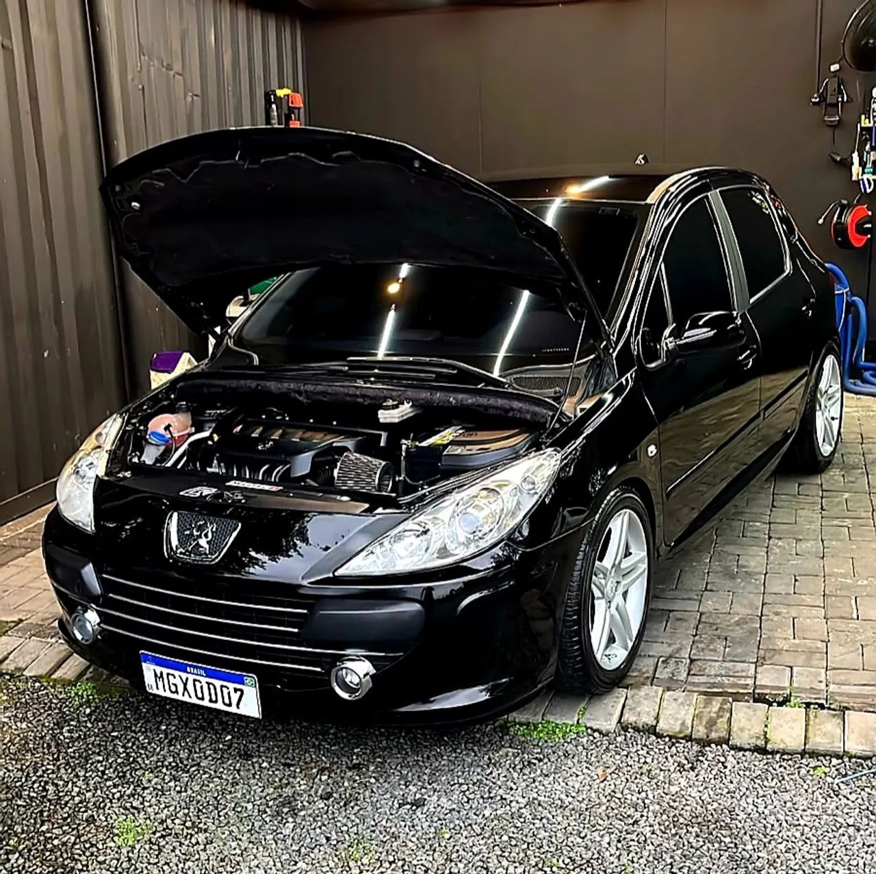 Peugeot 307 307 Feline 2.0/2.0 Flex 16V 5p Mec. 2007