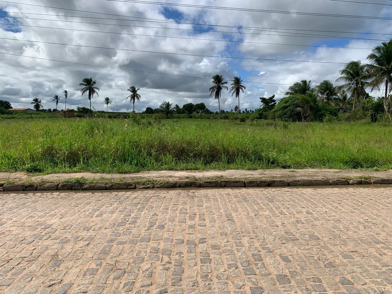 Terreno bom para chácara ou casa  - Foto 5