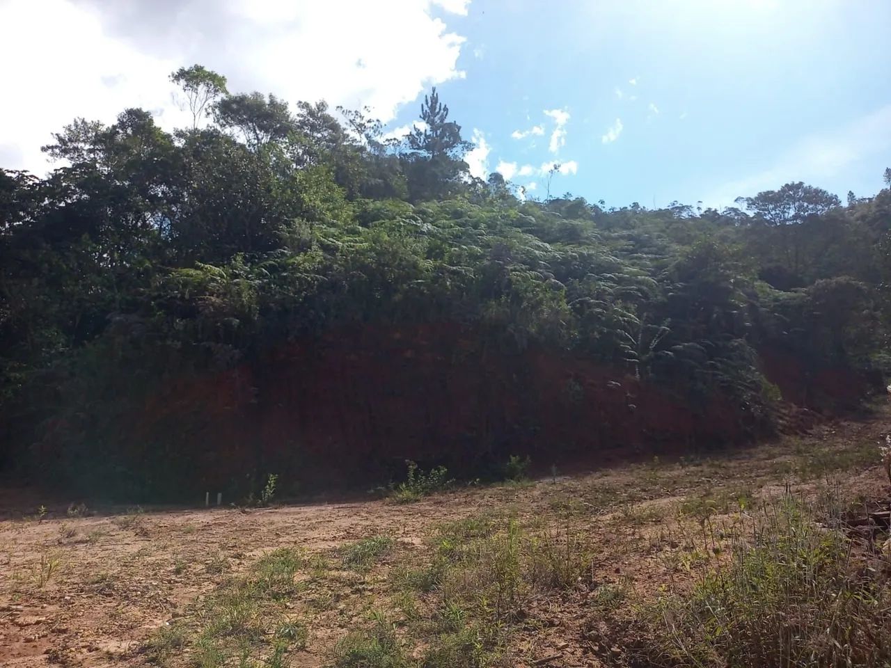 Sítio marechal floriano 16 hequitares  - Foto 5