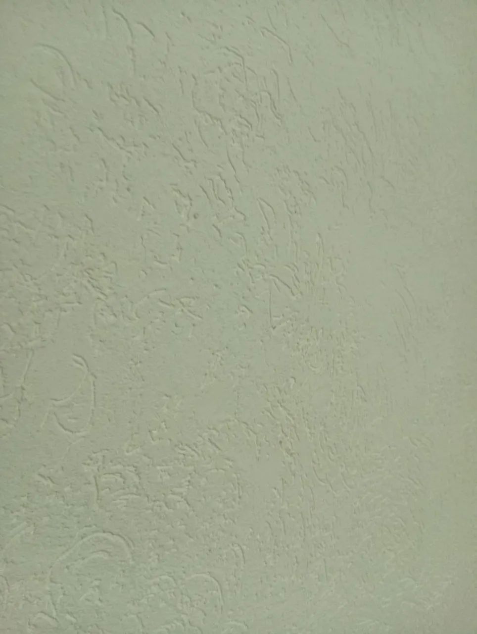 Pintor profissional 