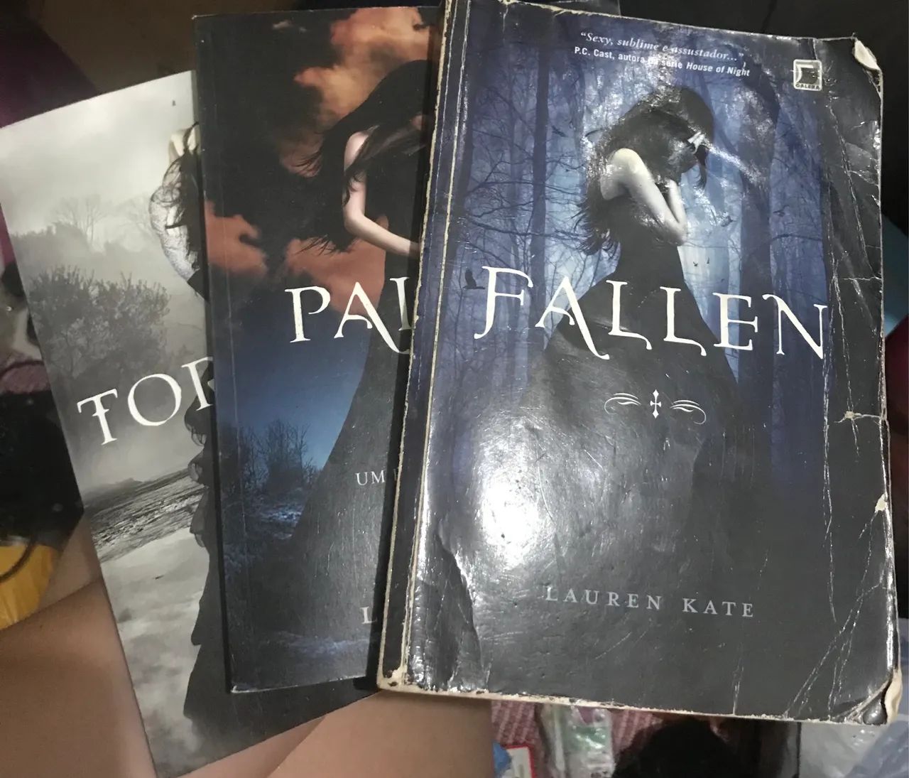 Livros Fallen, Tormenta e Paixão 