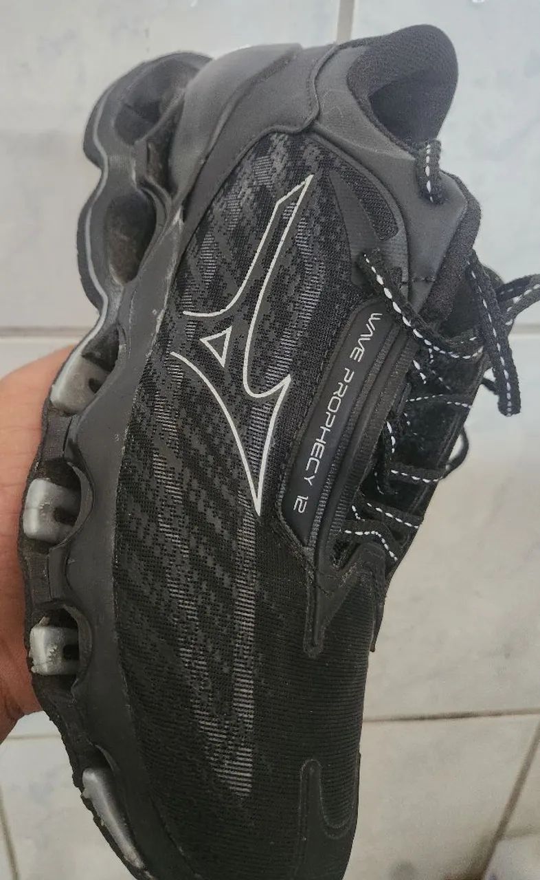 Mizuno phophecy 12