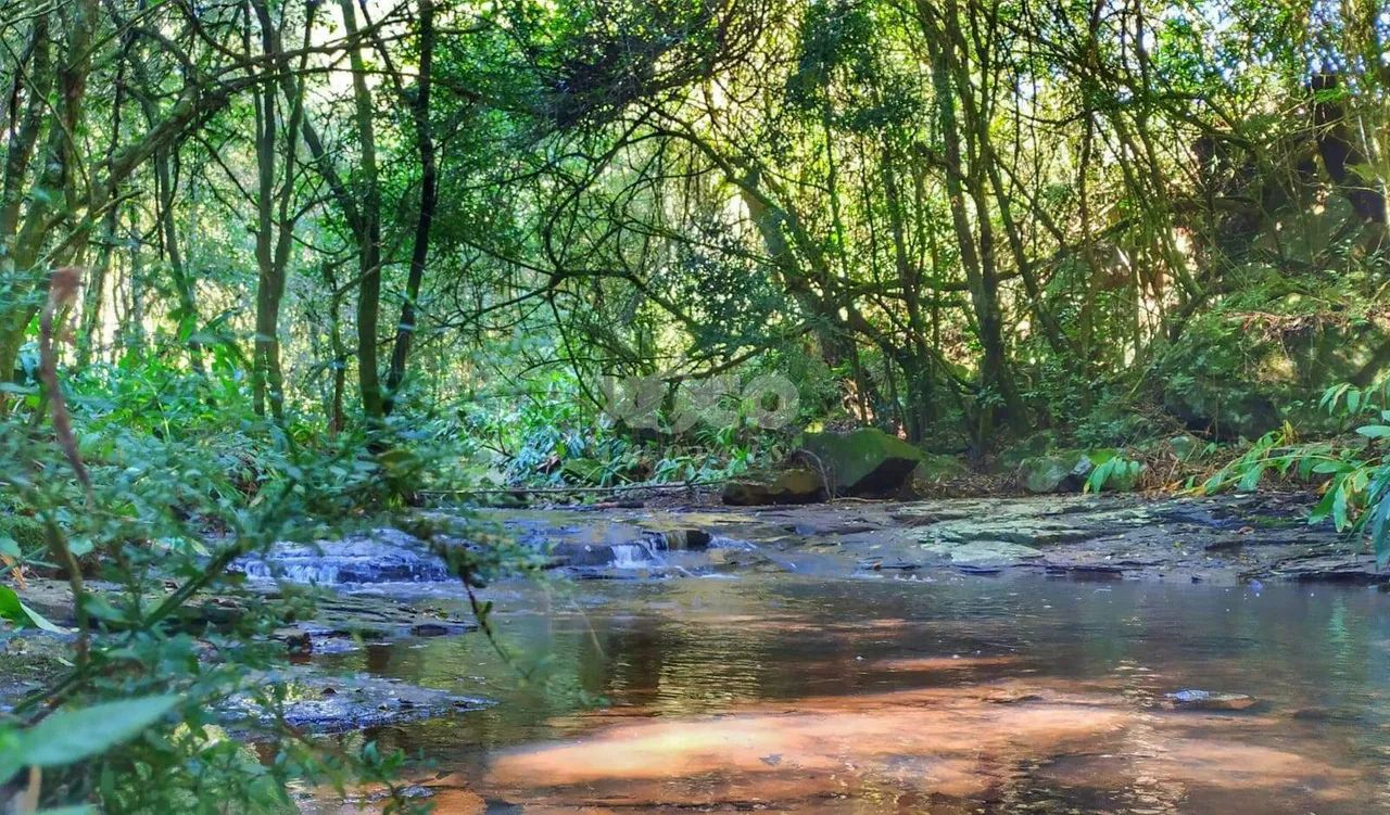SÍTIO EM NOVA PETRÓPOLIS - Foto 3