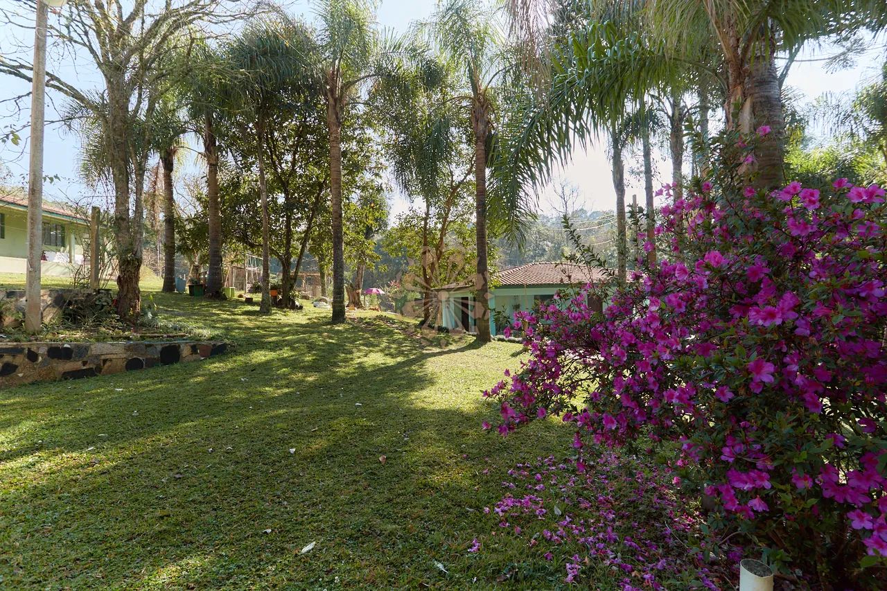 Chácara com 48.400 m² e Nascente - Foto 2
