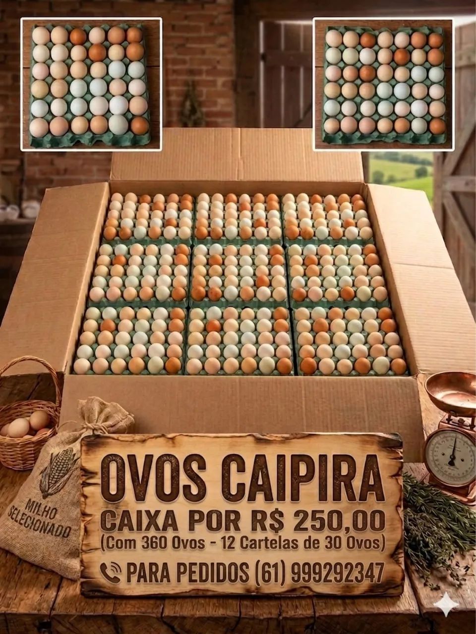 CAIXA DE OVOS CAIPIRA 