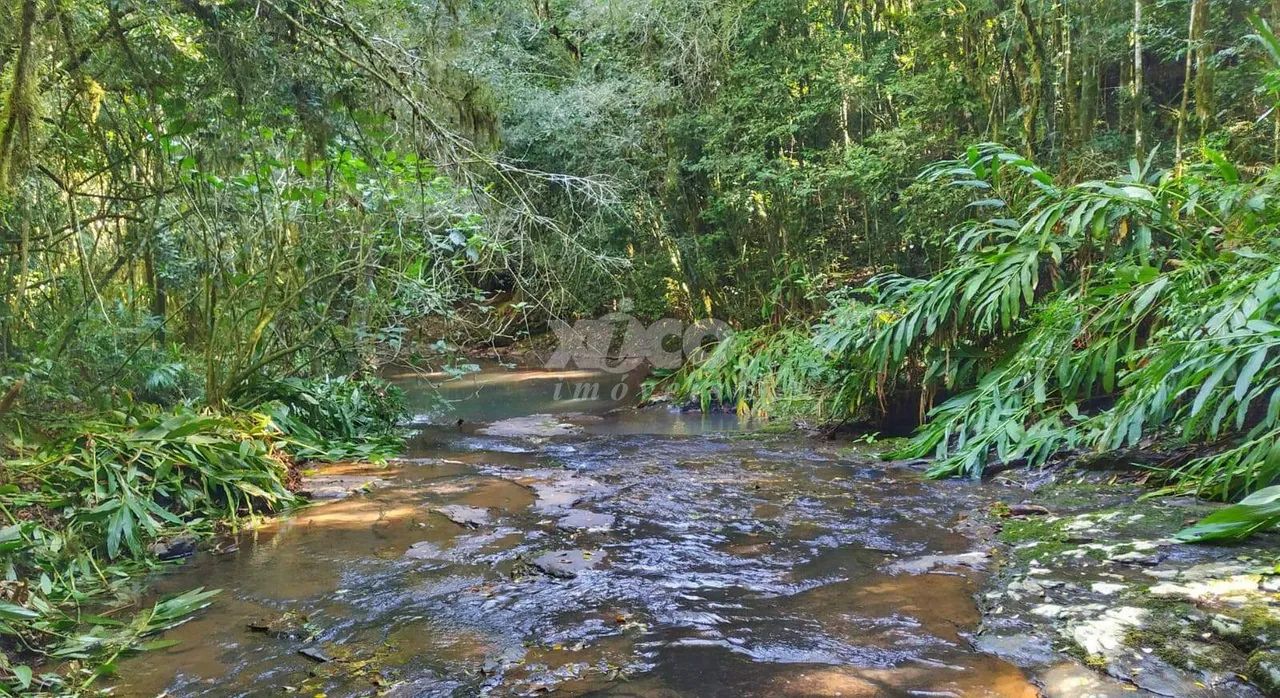 SÍTIO EM NOVA PETRÓPOLIS - Foto 2