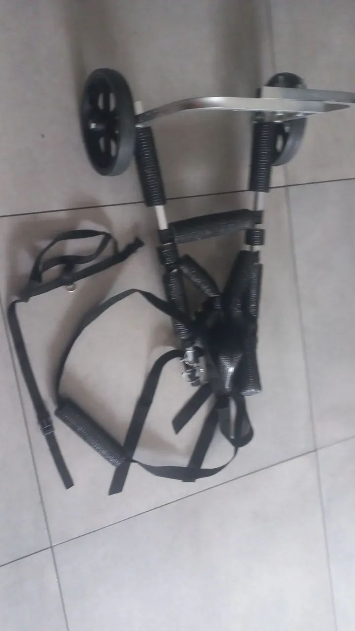 Cadeira para cães 