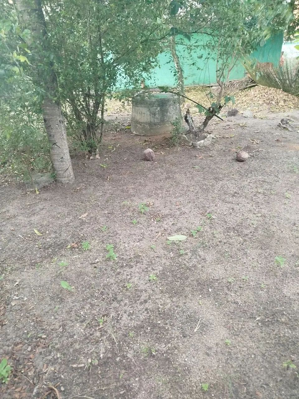 Vende-se terreno  - Foto 4