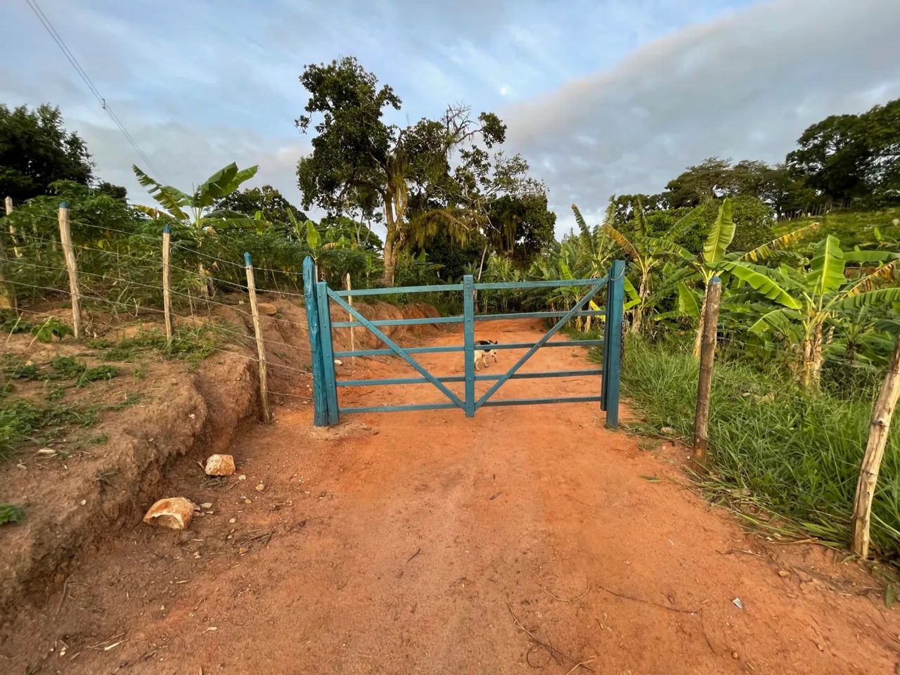 OPORTUNIDADE: Vendo Sitio escriturado perto de Bananeiras(10km) e Borborema (2k) - Foto 18